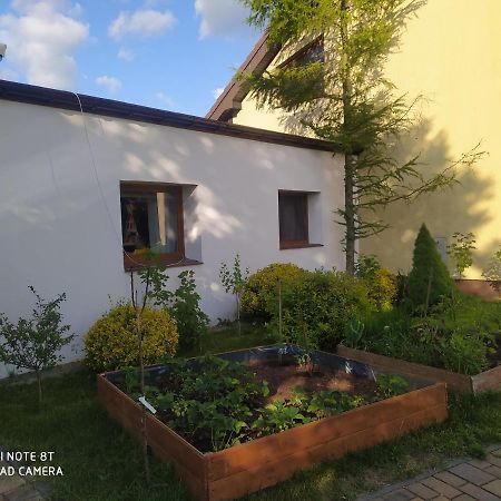 Apartament Gniezno - Mnichowo Kültér fotó