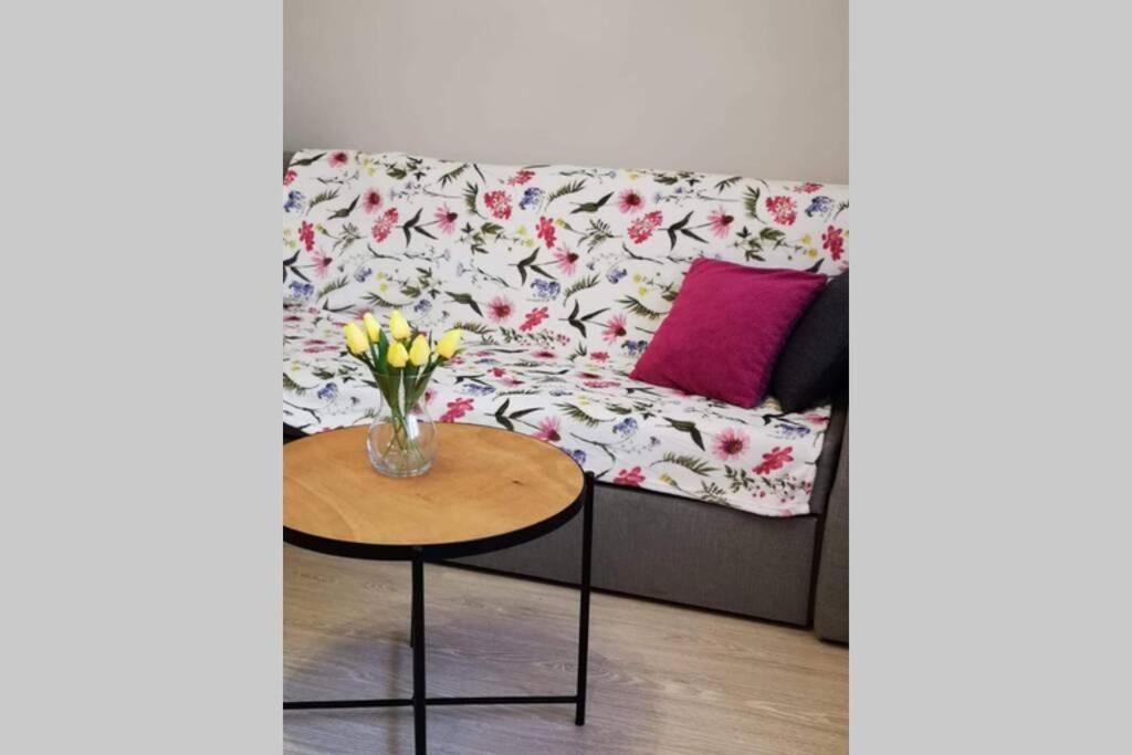 Apartament Gniezno - Mnichowo Kültér fotó