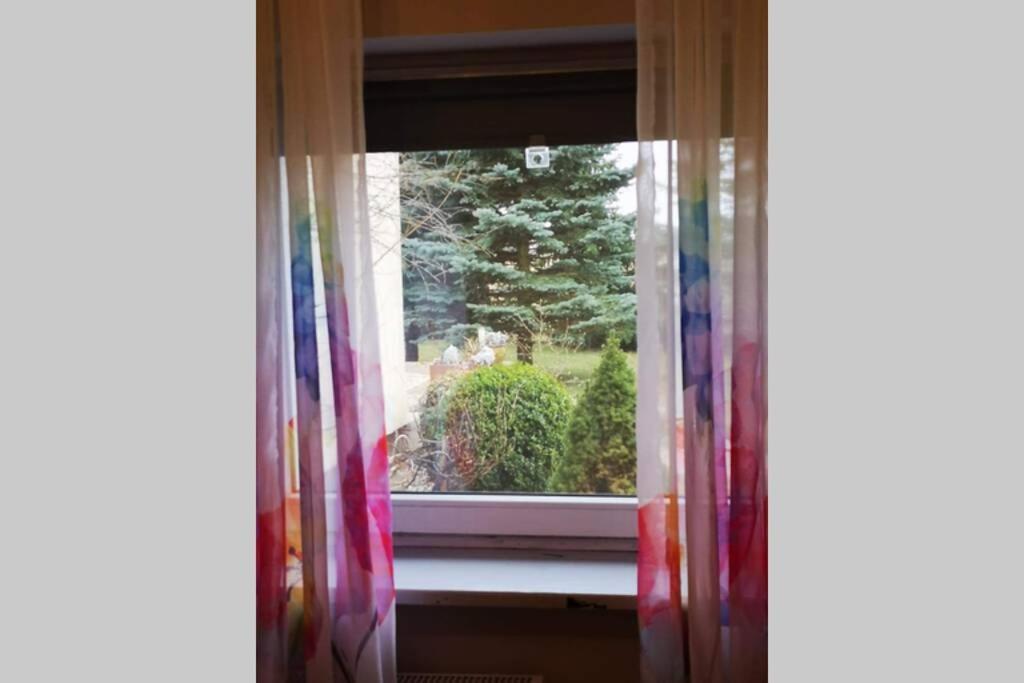 Apartament Gniezno - Mnichowo Kültér fotó